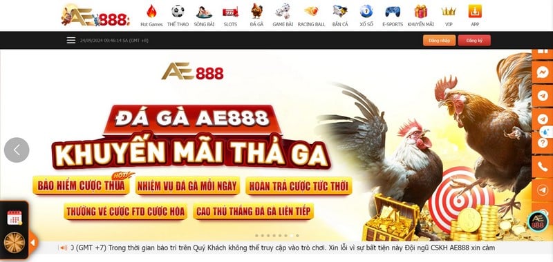 Đá Gà Ae888 - Điểm Đến Giải Trí Với Cơ Hội “Đổi Đời” Nhanh Chóng
