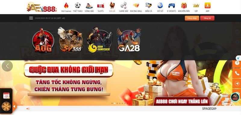 Đá Gà Ae888 - Điểm Đến Giải Trí Với Cơ Hội “Đổi Đời” Nhanh Chóng